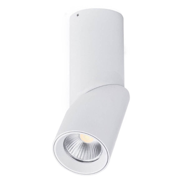Rotatable Surface Mounted LED Downlight IP54