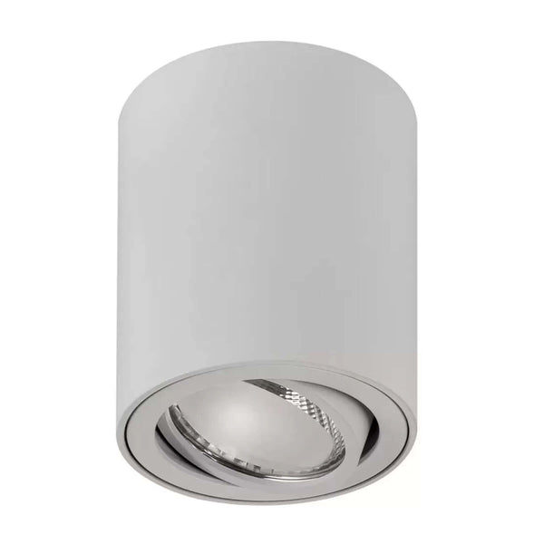 Tiltable Surface Mounted LED Downlight IP40